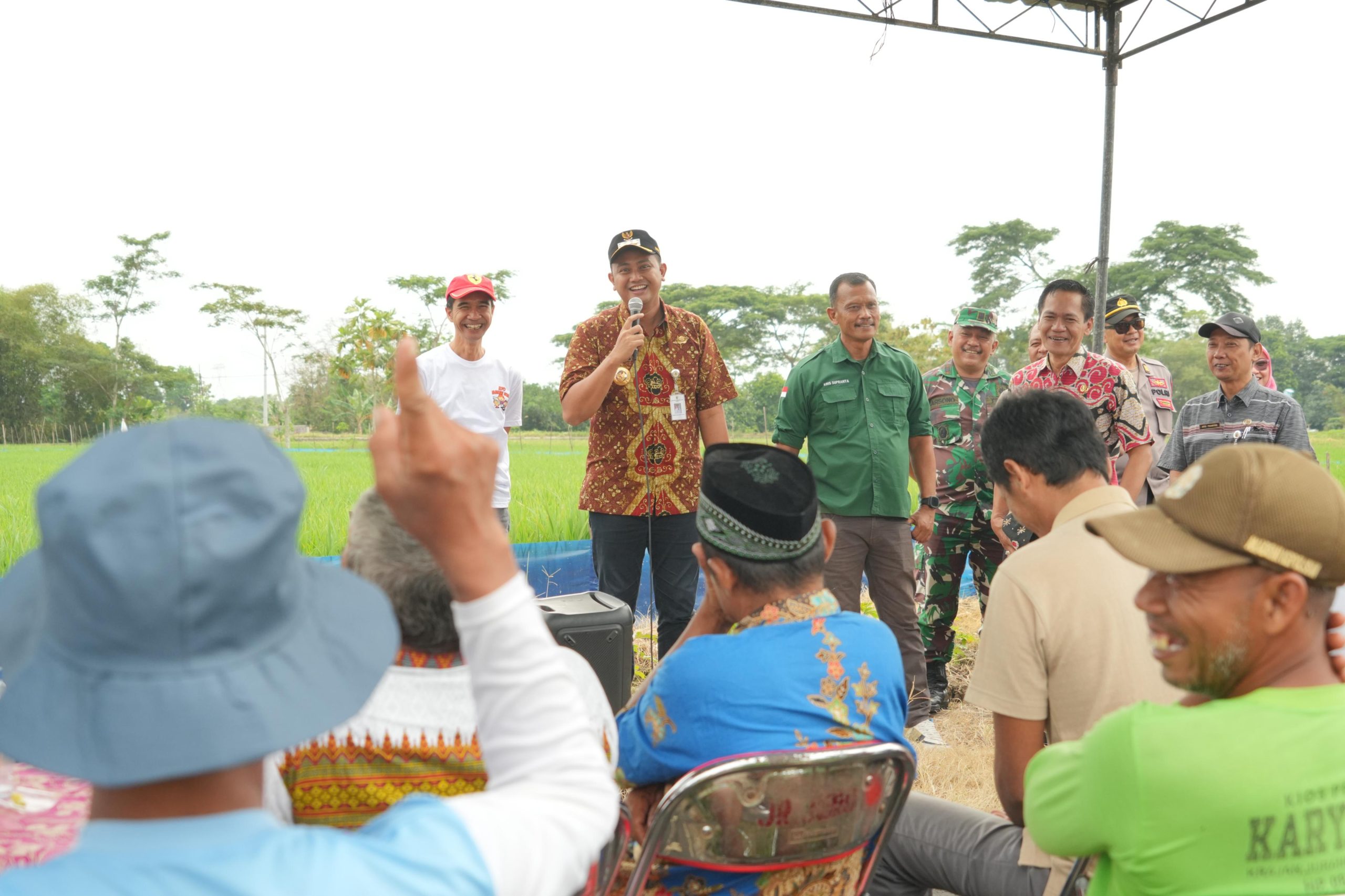Pemkab Klaten Terapkan TBS Tekan Populasi Hama Tikus.